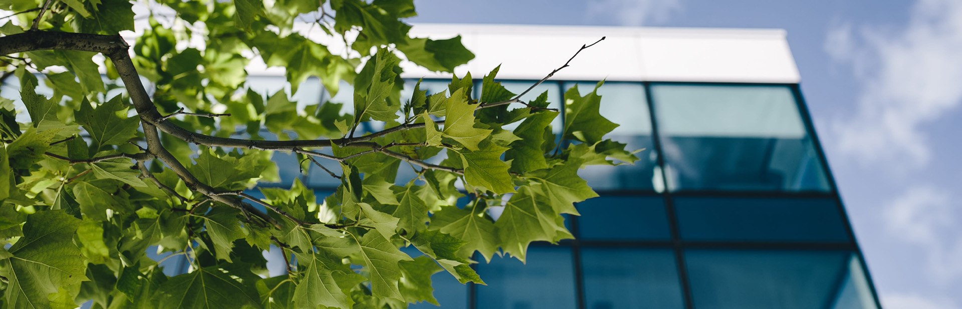 山东煜昌药业有限公司