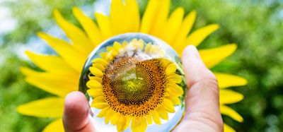 关于下架“4，4-哌啶二醇盐酸盐”及其衍生物系列产品的公告